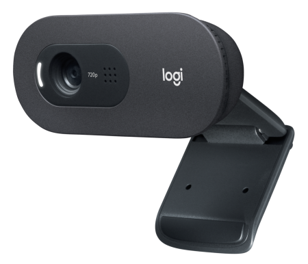 Logitech C505 HD Webcam